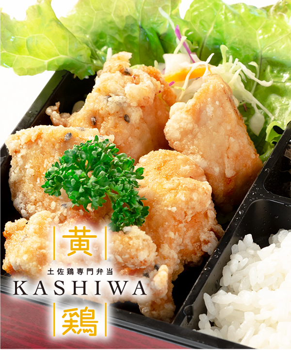 黄鶏kashiwa